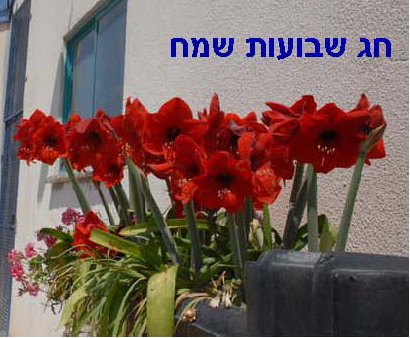 תמונה לשבועות.jpg